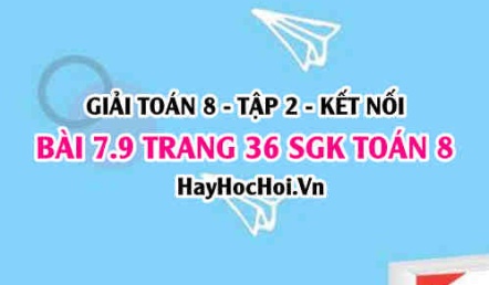 Bài 7.9 trang 36 Toán 8 Tập 2 Kết nối tri thức